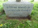 image of grave number 496962